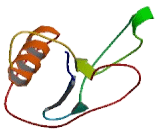 Nucleoside Diphosphate Linked Moiety X-Type Motif 13 (NUDT13)