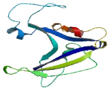 Nucleoside Diphosphate Linked Moiety X-Type Motif 14 (NUDT14)