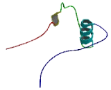 Nucleoside Diphosphate Linked Moiety X-Type Motif 15 (NUDT15)