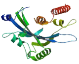 Nucleoside Diphosphate Linked Moiety X-Type Motif 16 Like Protein 1 (NUDT16L1)