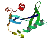 Nucleoside Diphosphate Linked Moiety X-Type Motif 18 (NUDT18)