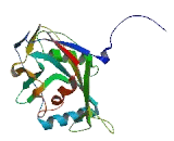 Nucleoside Diphosphate Linked Moiety X-Type Motif 21 (NUDT21)