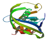 Nucleoside Diphosphate Linked Moiety X-Type Motif 3 (NUDT3)