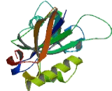 Nucleoside Diphosphate Linked Moiety X-Type Motif 6 (NUDT6)