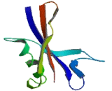 Nucleoside Diphosphate Linked Moiety X-Type Motif 7 (NUDT7)