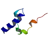 Nucleoside Diphosphate Linked Moiety X-Type Motif 8 (NUDT8)