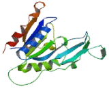 Nucleoside Triphosphatase, Cancer Related (NTPCR)