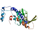 Nucleosome Assembly Protein 1 Like Protein 1 (NAP1L1)