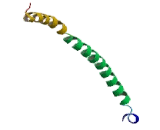 Nucleosome Assembly Protein 1 Like Protein 5 (NAP1L5)