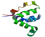 Nucleotide Binding Oligomerization Domain Containing Protein 1 (NOD1)