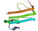 Nucleotide Binding Oligomerization Domain Containing Protein 2 (NOD2)