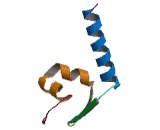 Nucleus Accumbens Associated Protein 1 (NAC1)