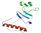 NudC Domain Containing Protein 2 (NUDCD2)