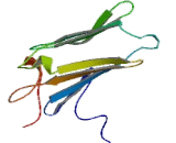 NudC Domain Containing Protein 3 (NUDCD3)