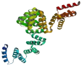 O-Linked-N-Acetylglucosamine Transferase (OGT)