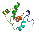 ORM1 Like Protein 3 (ORMDL3)