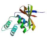 OTU Domain Containing Protein 6A (OTUD6A)