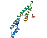 OTU Domain Containing Protein 6B (OTUD6B)