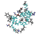 Obestatin (OB)