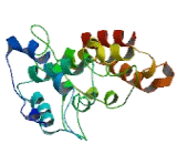 Occludin/ELL Domain Containing Protein 1 (OCEL1)