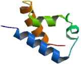 Octamer Binding Transcription Factor 9 (OCT9)