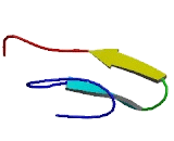 Ocular Development Associated Gene (ODAG)