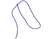 Oculomedin (OCLM)