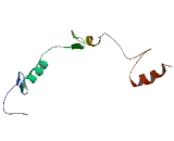 Odd Skipped Related Protein 2 (OSR2)