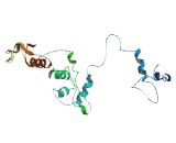 Odontogenic Ameloblast Associated Protein (ODAM)