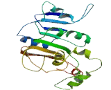 Oleoyl ACP Hydrolase (OLAH)