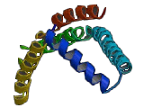 Olfactomedin 2 (OLFM2)