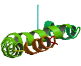 Olfactomedin Like Protein 3 (OLFML3)