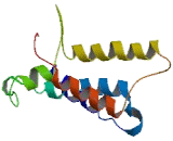 Olfactory Receptor 10A4 (OR10A4)