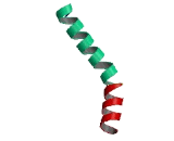 Olfactory Receptor 10AG1 (OR10AG1)