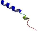 Olfactory Receptor 10H3 (OR10H3)