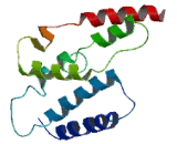 Olfactory Receptor 10J3 (OR10J3)