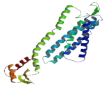 Olfactory Receptor 10J4 (OR10J4)