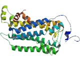 Olfactory Receptor 11H12 (OR11H12)