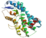 Olfactory Receptor 11H2 (OR11H2)