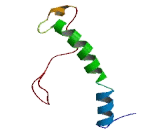 Olfactory Receptor 12D3 (OR12D3)