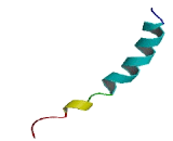 Olfactory Receptor 13C2 (OR13C2)