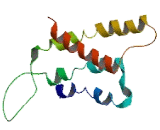 Olfactory Receptor 13D1 (OR13D1)