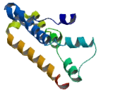 Olfactory Receptor 13F1 (OR13F1)