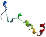 Olfactory Receptor 13J1 (OR13J1)