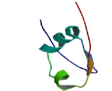 Olfactory Receptor 14C36 (OR14C36)