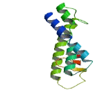 Olfactory Receptor 1B1 (OR1B1)