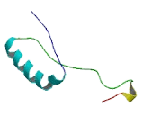 Olfactory Receptor 1J2 (OR1J2)