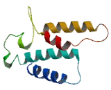 Olfactory Receptor 1L1 (OR1L1)