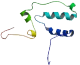 Olfactory Receptor 1L3 (OR1L3)