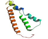 Olfactory Receptor 1L6 (OR1L6)